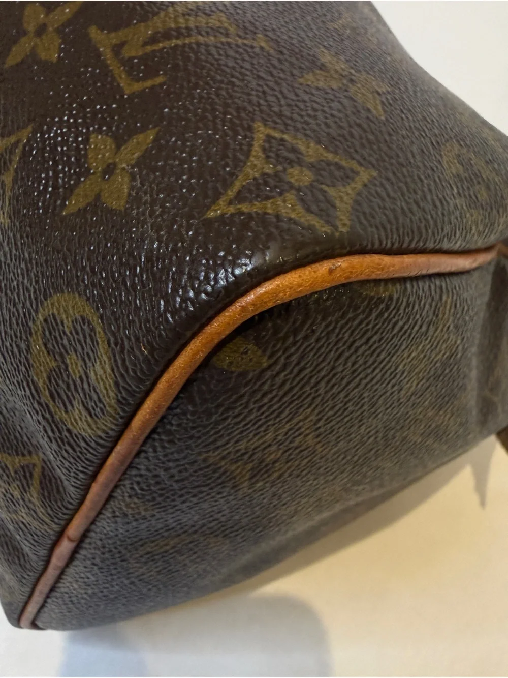 LV SPEEDY 25 (Louis Vuitton)